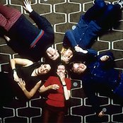 Stereolab - List pictures