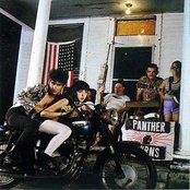 Tav Falco's Panther Burns - List pictures