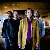 Delillos - List pictures