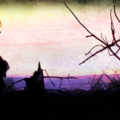 Retard-o-bot - List pictures