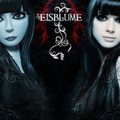 Eisblume - List pictures