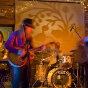 The Amber Herd - List pictures