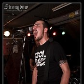 Strongbow - List pictures