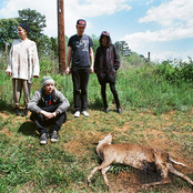 Diiv - List pictures