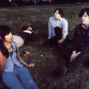 The Skygreen Leopards - List pictures