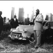 Above The Law - List pictures