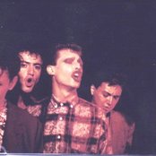 Zero - List pictures