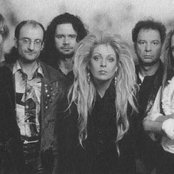 Silly - List pictures