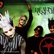 Deadstar Assembly - List pictures