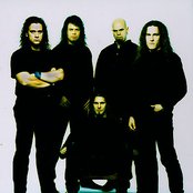 Lion's Share - List pictures