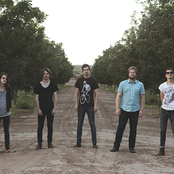 The Maine - List pictures