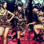 Perfume - List pictures