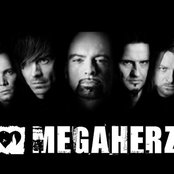 Megaherz - List pictures