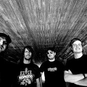 Dozer - List pictures