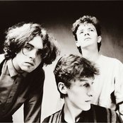 Icicle Works - List pictures