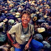 Mart'nalia - List pictures