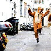 2 Bears - List pictures