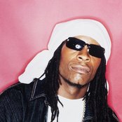 Mr. Cheeks - List pictures