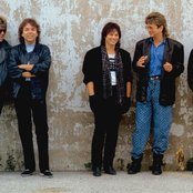 Survivor - List pictures