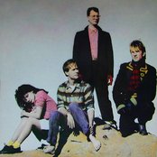 Cock Robin - List pictures