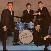 Searchers - List pictures