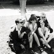 Sugarcubes - List pictures