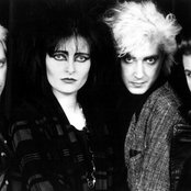 Siouxie - List pictures
