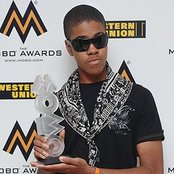 Chipmunk - List pictures