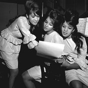 The Ronettes - List pictures