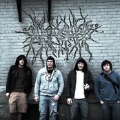 Abacabb - List pictures