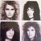 White Lion - List pictures