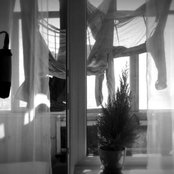 Lindsay D'arcy - List pictures