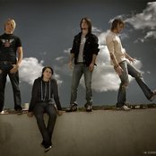 Tickle Me Pink - List pictures