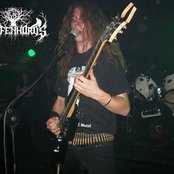 Wolfenhords - List pictures