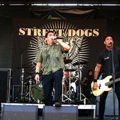 Street Dogs - List pictures