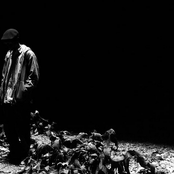 Alpha Wann - List pictures