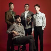 Wild Palms - List pictures