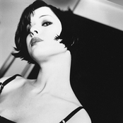 The Golden Palominos - List pictures