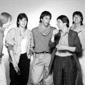 Camel - List pictures