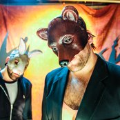 The Bunny The Bear - List pictures