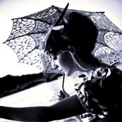 Gabby Young & Other Animals - List pictures