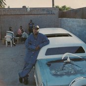 King T - List pictures