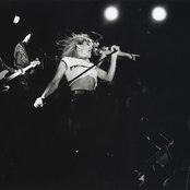 Cheetah - List pictures