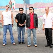 Greenleaf - List pictures