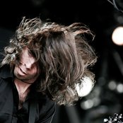 Old Dead Tree - List pictures