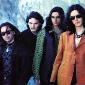 Jaguares - List pictures