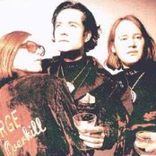 Urge Overkill - List pictures