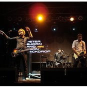 Peter Bjorn And John - List pictures