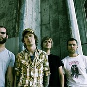 Pelican - List pictures