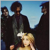 Daisy Chainsaw - List pictures